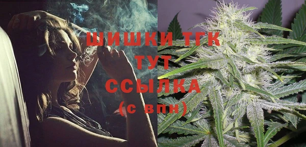 винт Нягань
